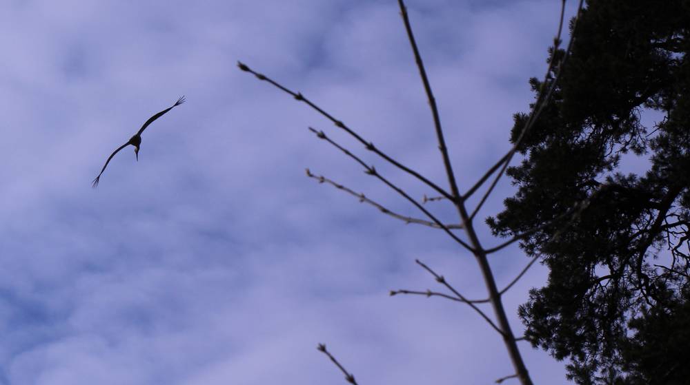 Майские праздники брянцам сильно испортит погода