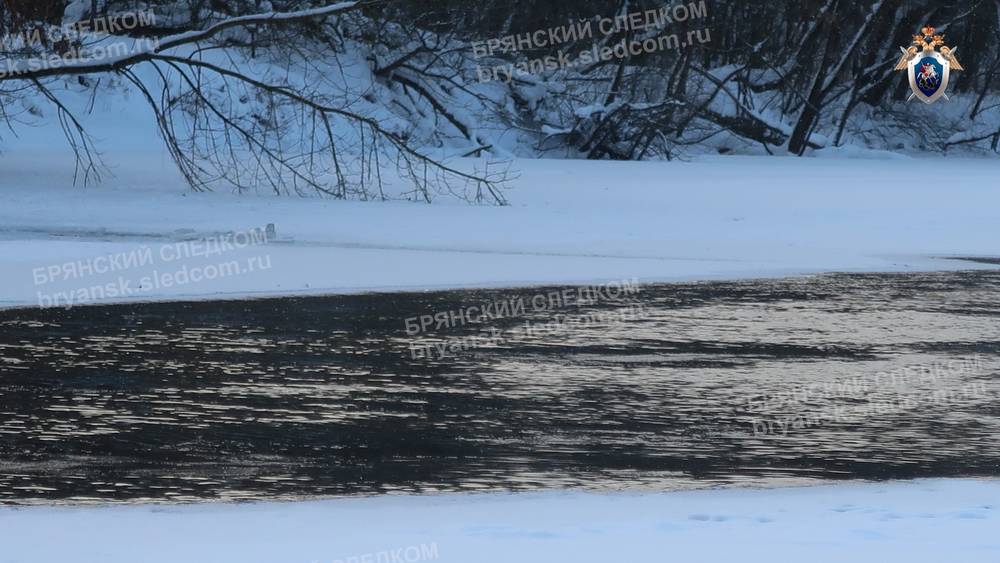 В Брянске сообщили о гибели женщины, обнаруженной при поиске утонувших детей