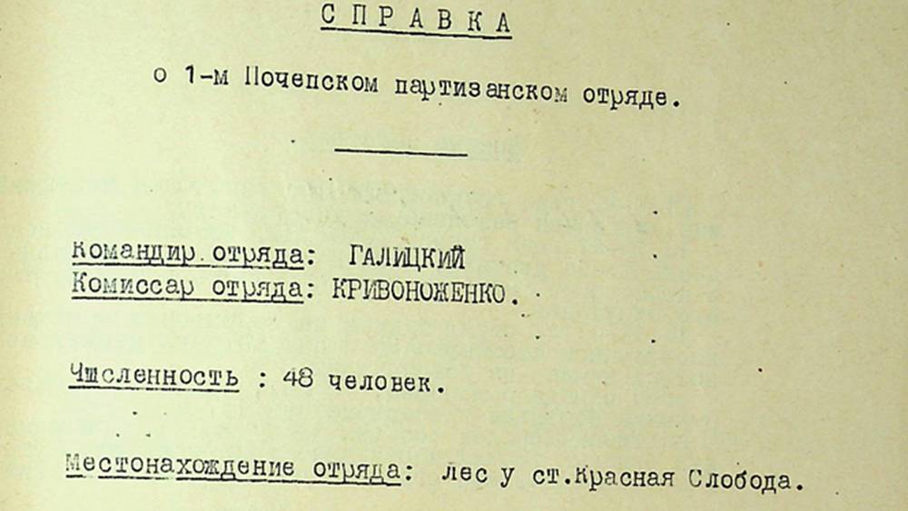 Брянское управление ФСБ рассекретило документы о партизанских отрядах