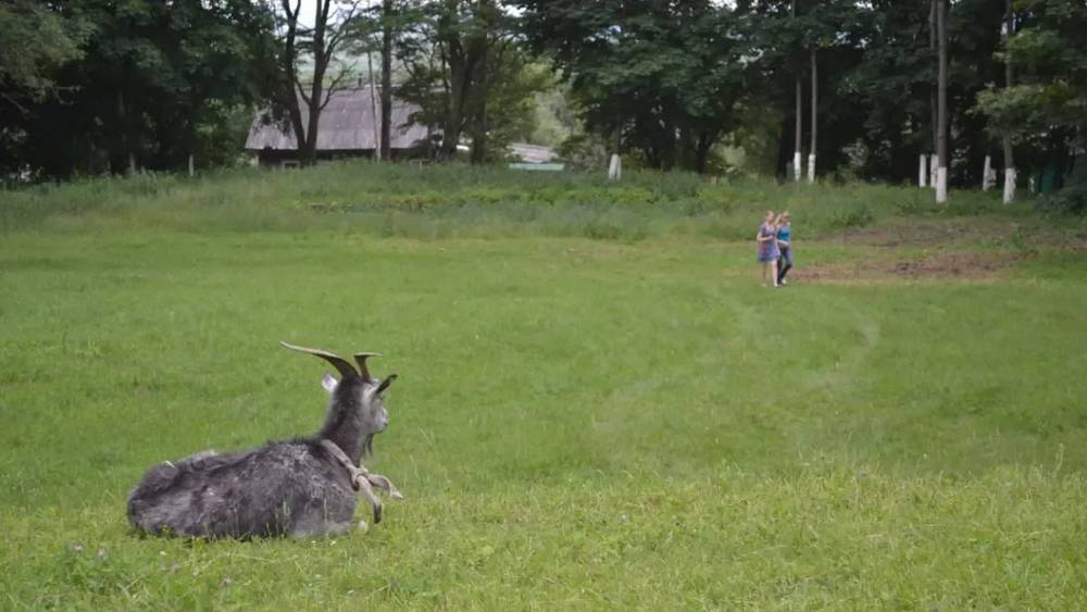 Брянщина преобразилась там, где приложили руки, но ревнителей мало