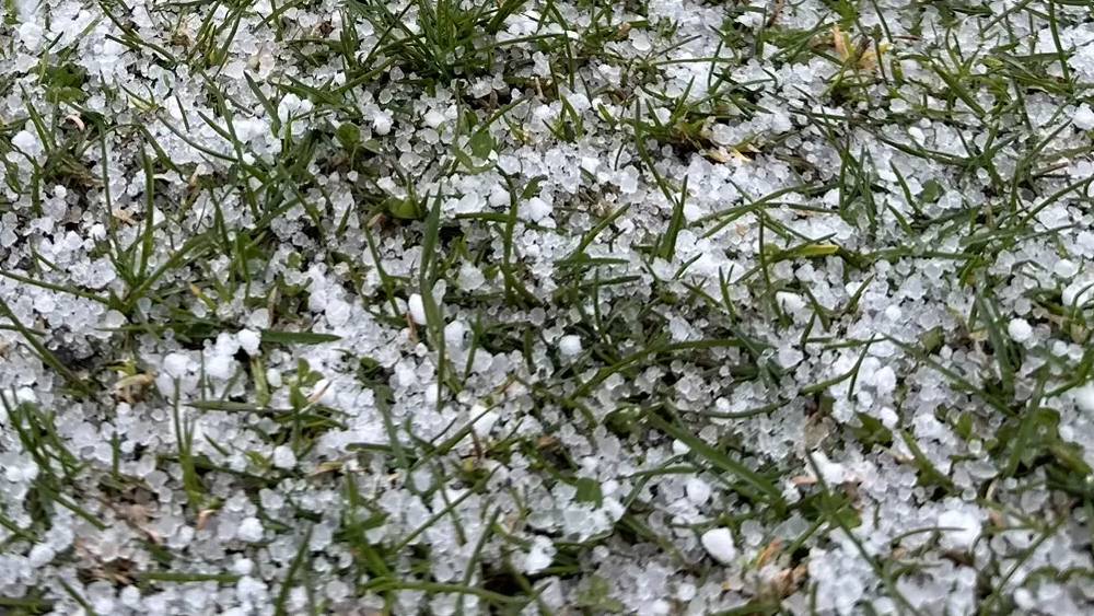 Под Брянском от обрушившегося града побелели все луга