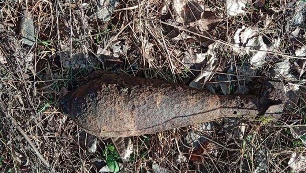 В Брянском районе жителей днём 14 апреля напугала миномётная мина