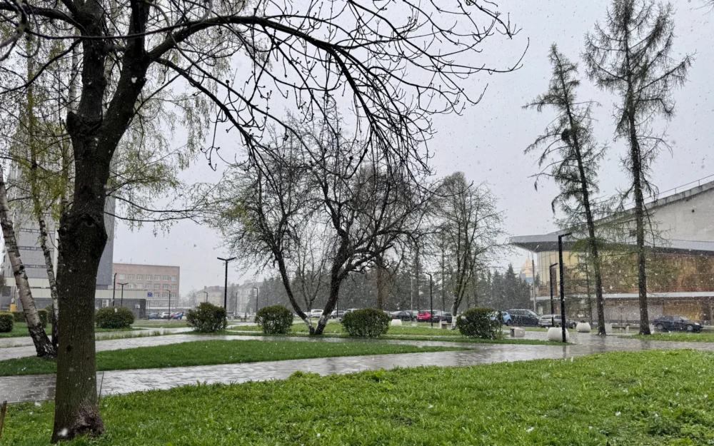 Апрельский снег застал жителей Брянской област врасплох