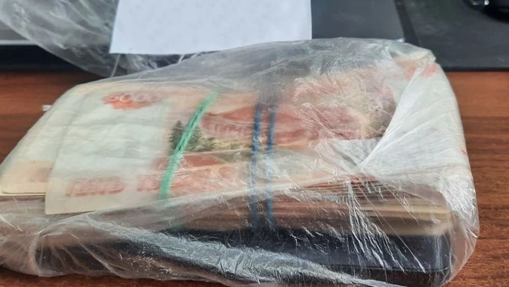 В Брянске задержан помощник мошенников, выманивших у 4 пенсионерок 1,5 млн рублей