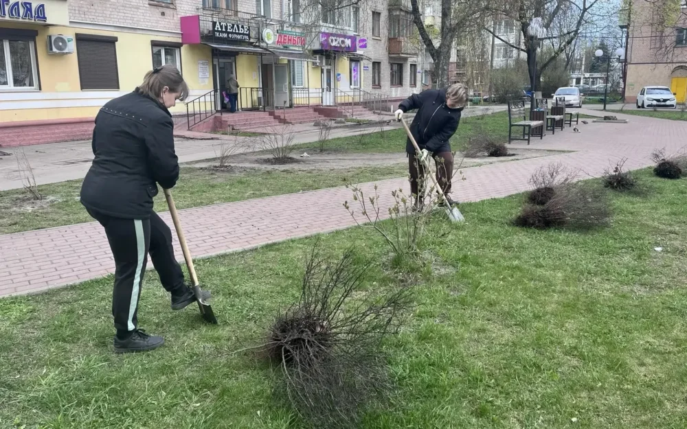 Сквер «Покорителям космоса» в Брянске украсили саженцами спиреи