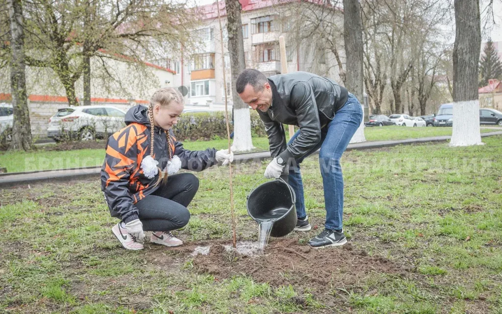 В Брянске в канун 40-летия Чернобыльской трагедии высадили клёны