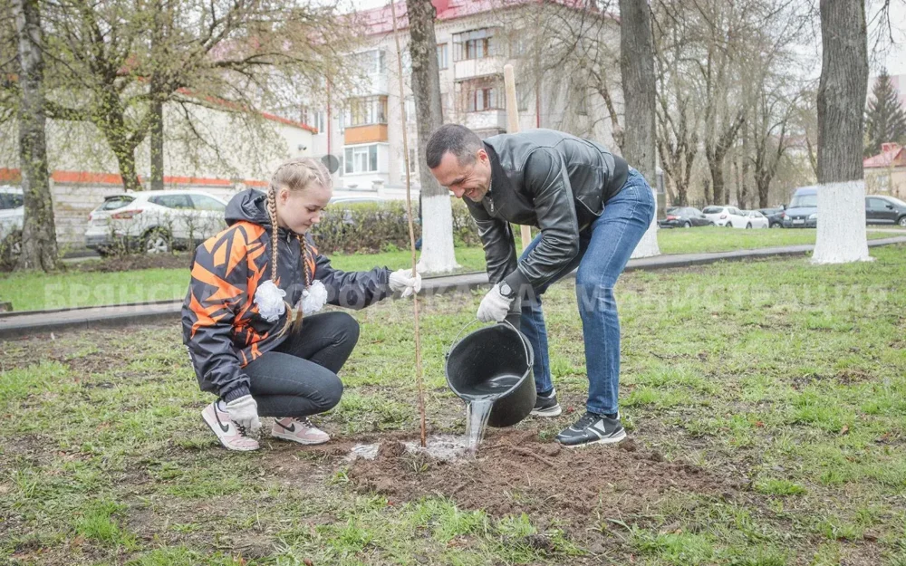 В Брянске в канун 40-летия Чернобыльской трагедии высадили клёны