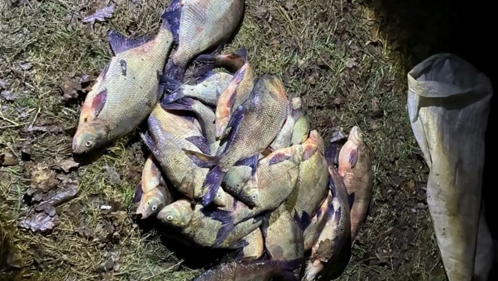 В Фокинском районе Брянска полиция задержала браконьеров с 31 рыбой