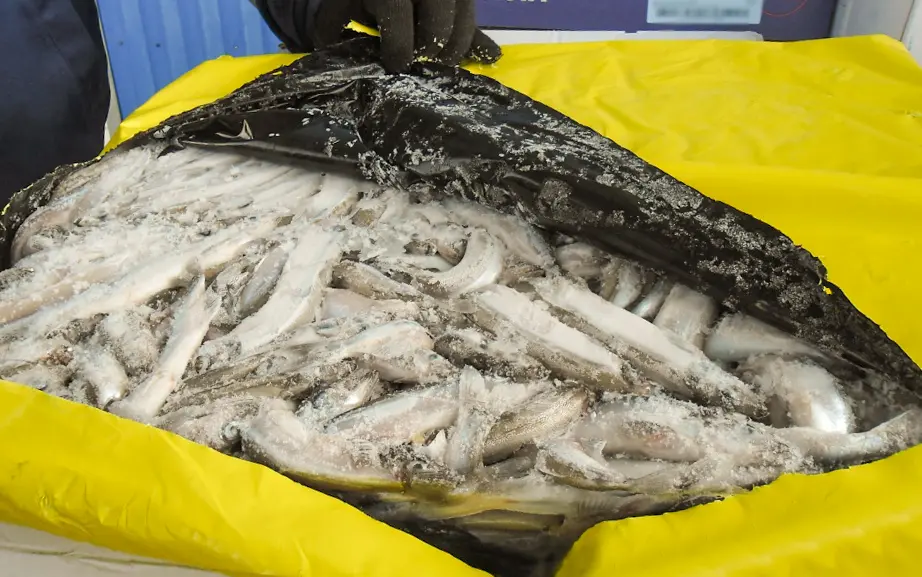 Брянские таможенники нашли контрабанду в грузовике с хлопьями