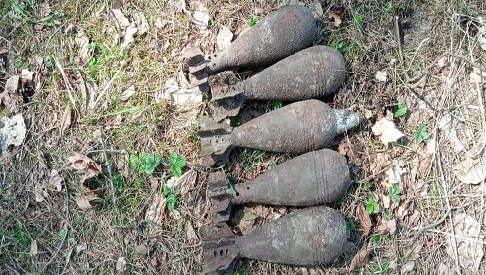 В Брянской области спасатели 22 апреля обезвредили пять мин и гранату