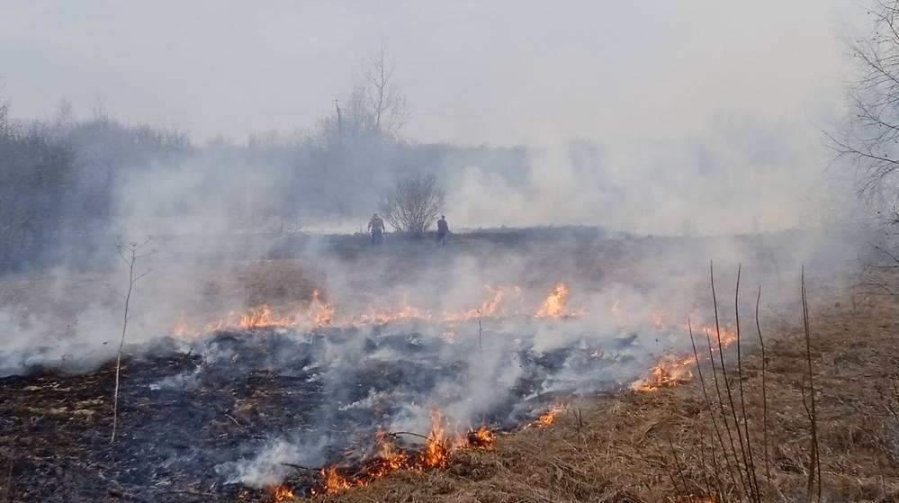 В Брянской области за сутки ликвидировали 70 техногенных возгораний