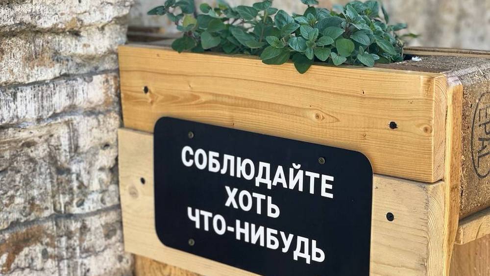 Новые запреты у стадиона «Динамо» в Брянске: где теперь нельзя останавливаться