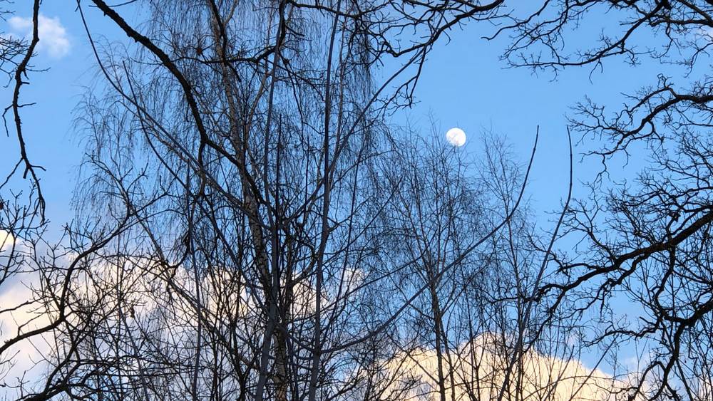 Гидрометцентр изменил прогноз погоды в Брянской области на начало мая