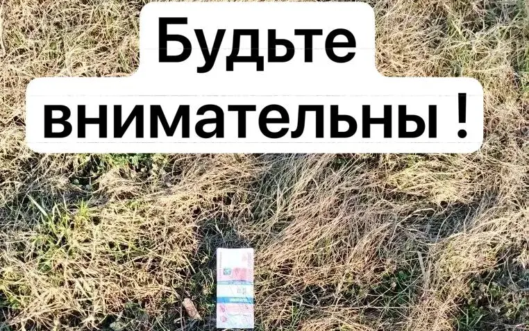 Брянский чиновник опубликовал фото смертельной находки и обратился к гражданам