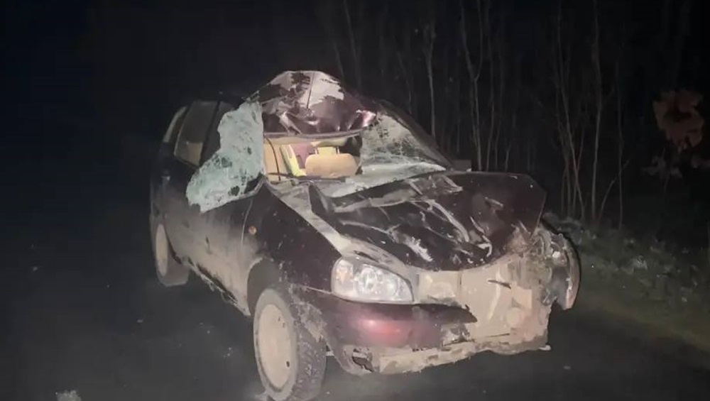 Под Севском автомобиль Lada Kalina врезался в лошадь – пострадала пассажирка