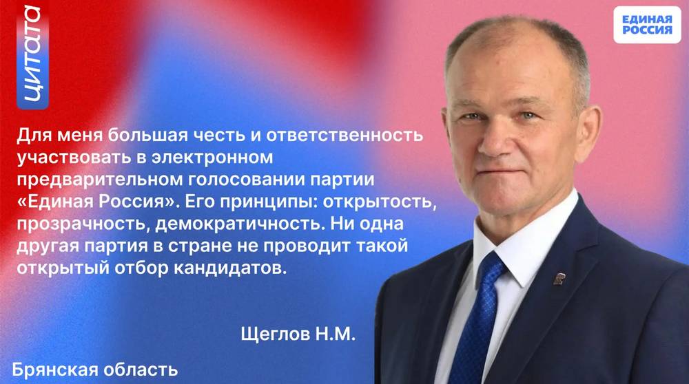 Николай Щеглов прокомментировал электронное предварительное голосование