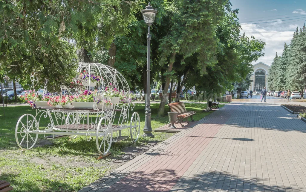 В брянском сквере Карла Маркса карету украсили петуниями
