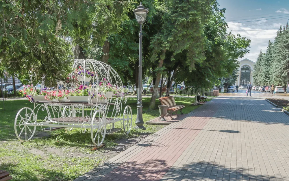 В брянском сквере Карла Маркса карету украсили петуниями