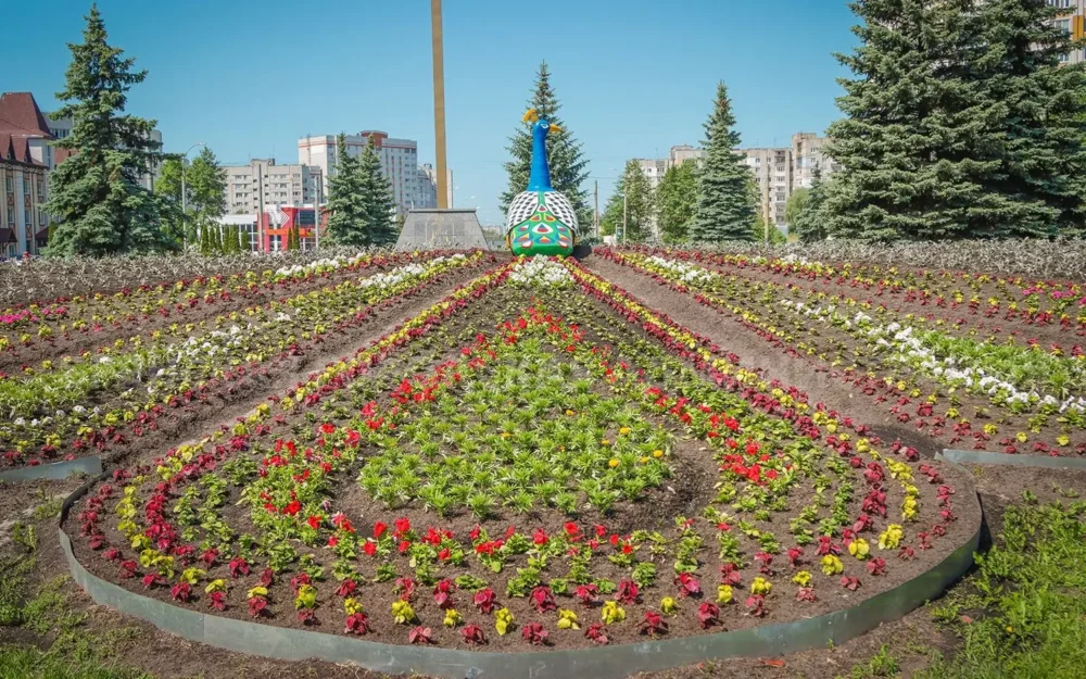 В Брянске стартовала большая цветочная кампания