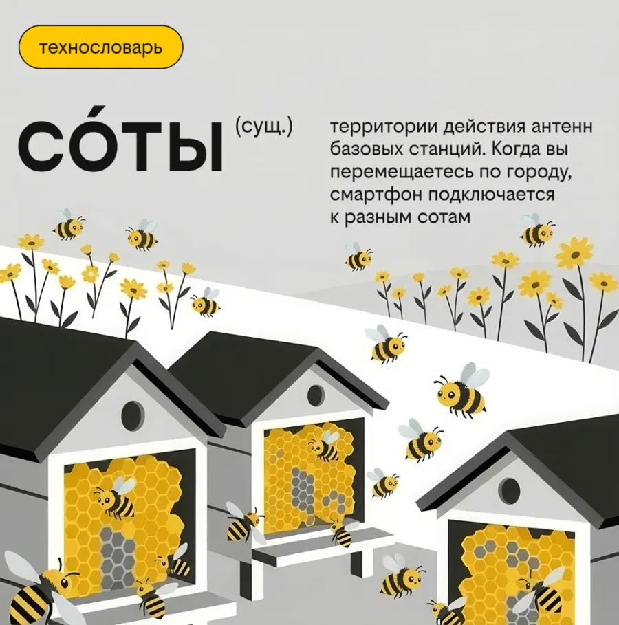 Соты, сайты и пакеты: как знакомые слова помогают улучшать качество связи