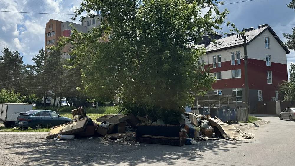 В Брянске горожан привела в оторопь свалка у детской областной больницы