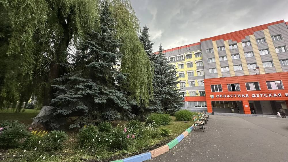 Большую свалку убрали возле Брянской детской областной больницы