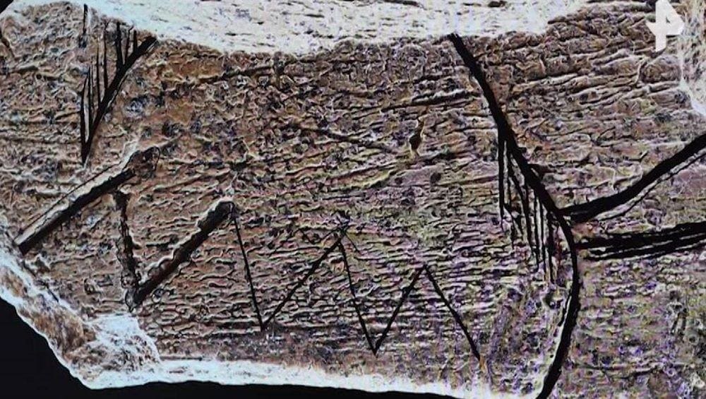 Археологи рассказали об уникальной исторической находке в Брянской области