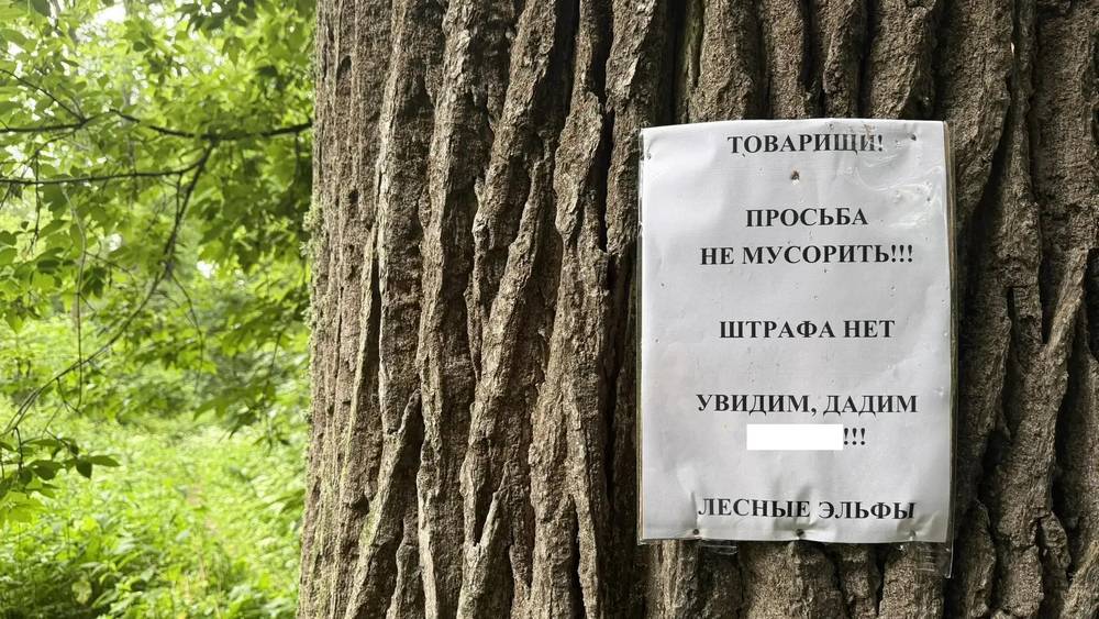 «Лесные эльфы» крепким словом взяли под защиту старую дубраву в Локте