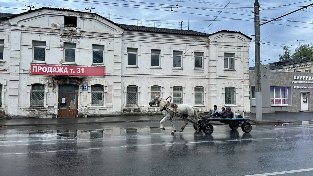 Цыгане и лошади победили брянских чиновников и полицейских