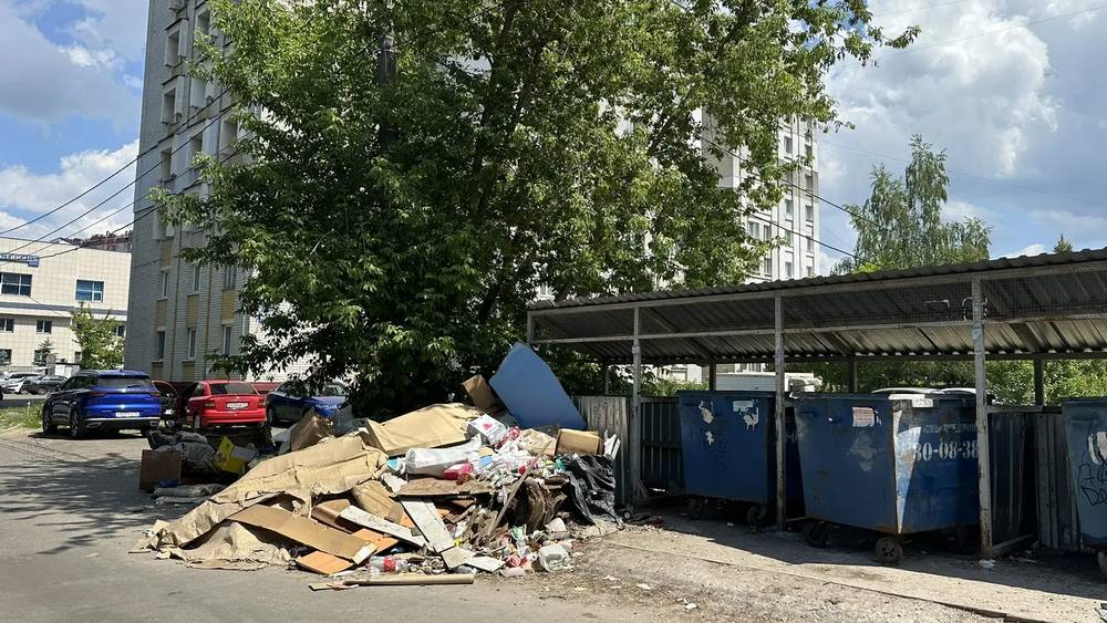 В Брянске горожан привела в оторопь свалка у детской областной больницы