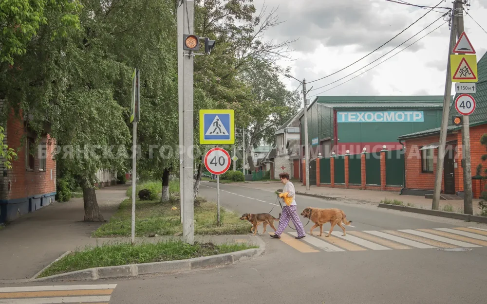 Черновик
