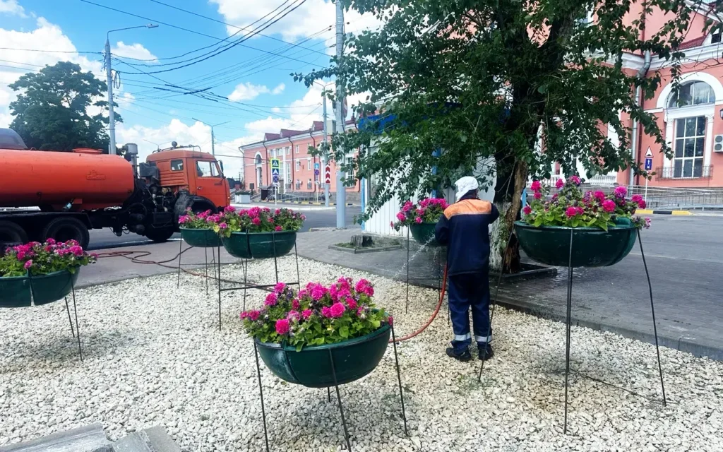 Привокзальная площадь Брянска зацвела после многолетнего запустения