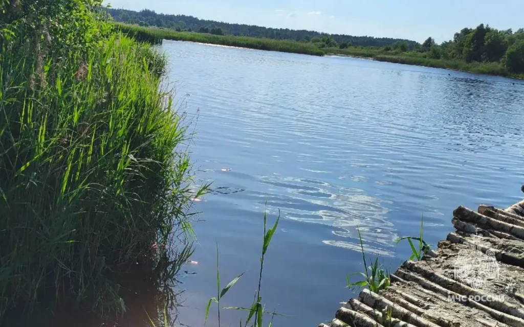 В Клинцовском районе Брянской области утонул подросток