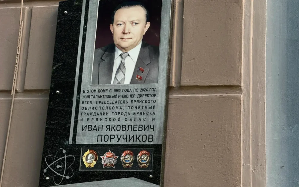 Будущий сквер имени Ивана Поручикова в Брянске начали озеленять кизильником