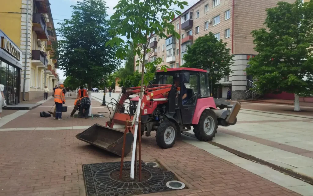 В Брянске пропололи землю под деревьями на бульваре Гагарина
