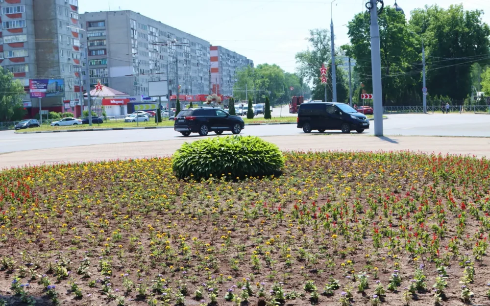 У памятника летчикам в Брянске высадили три тысячи цветов