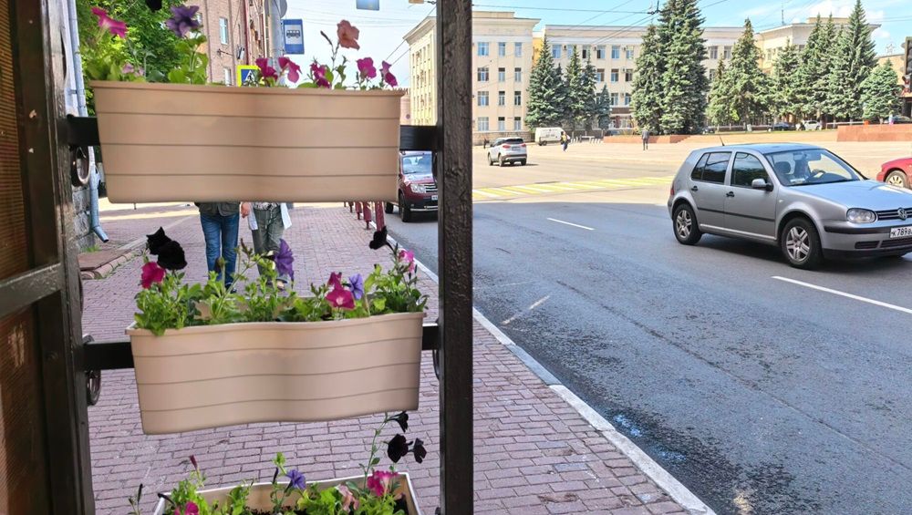 В Брянске на проспекте Ленина пять остановок украсили цветами