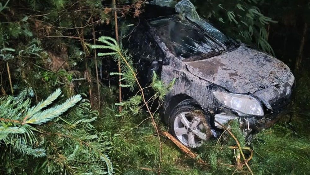 Под Дятьковом в ДТП пострадали 18-летняя автомобилистка и 11-летняя девочка