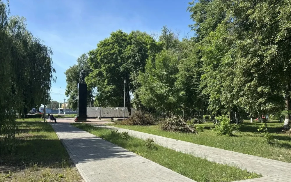 В сквере Металлургов Брянска спилят 34 заражённых златкой дерева