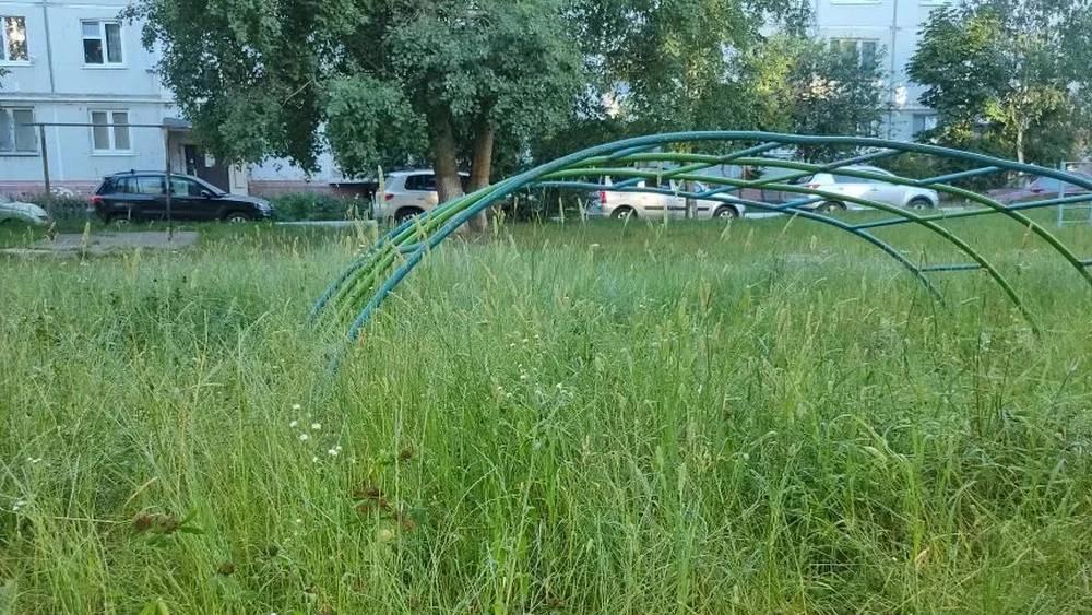 «Завелись ужи и ежи»: брянские коммунальщики превратили дворы в джунгли