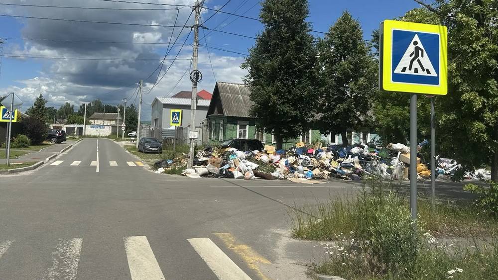 Торгующие иностранные специалисты воздвигли самую большую свалку в Брянске