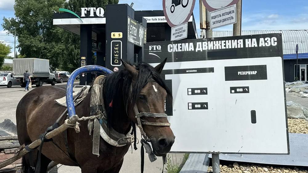 Табло АЗС на федеральной трассе в Брянской области стали черными