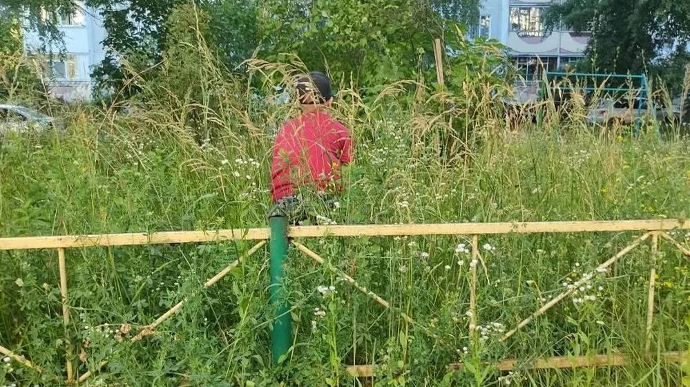 «Завелись ужи и ежи»: брянские коммунальщики превратили дворы в джунгли