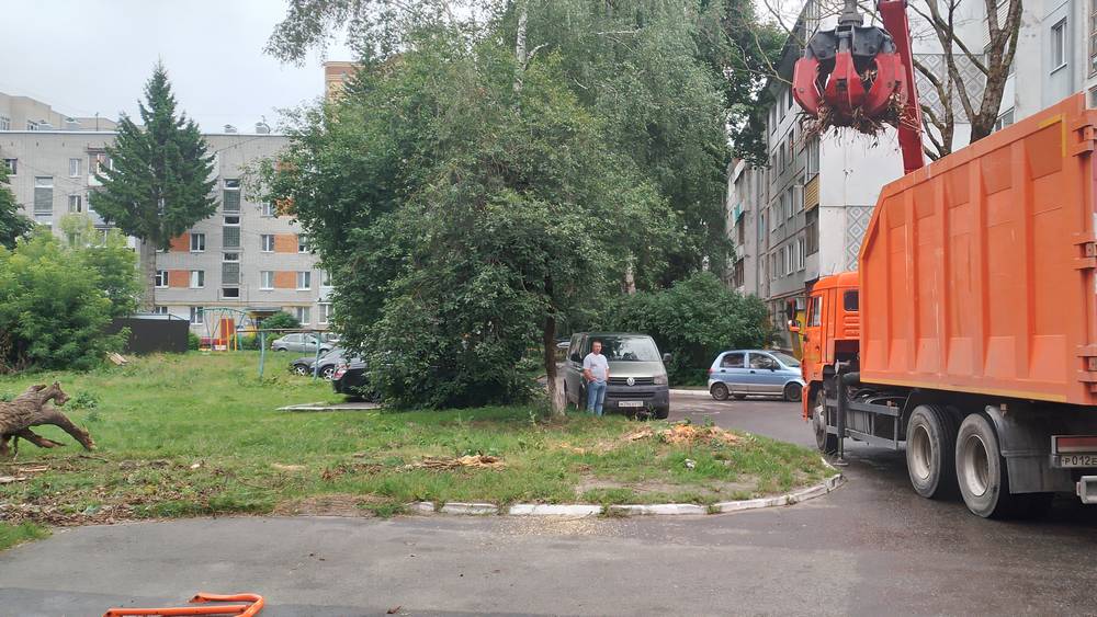 Брянские коммунальщики ликвидировали лежачую угрозу