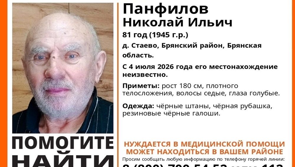 Пропавшего в Брянском районе 81-летнего Николая Панфилова нашли живым
