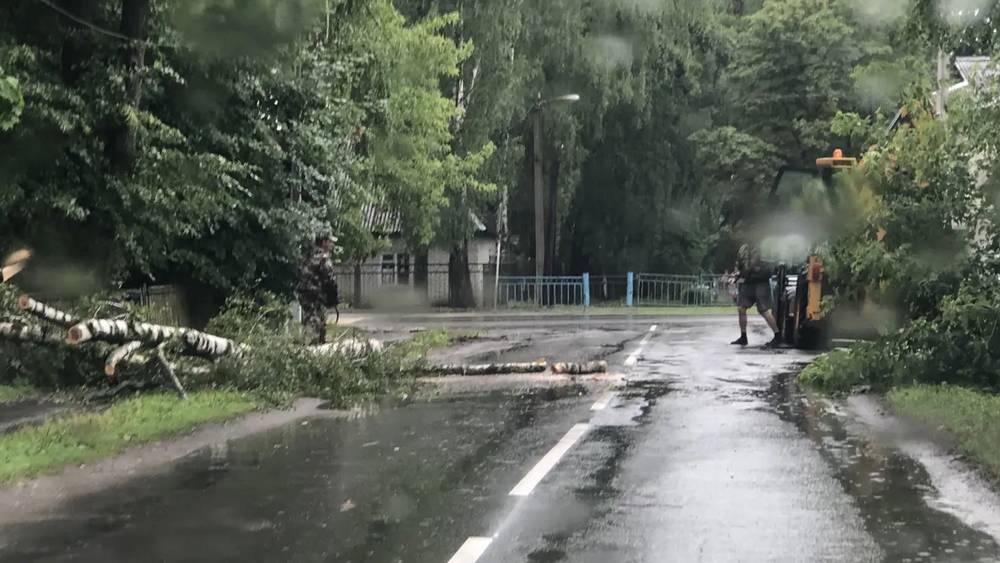 Обрушившийся на Брянскую область ураган повалил деревья на автомобили