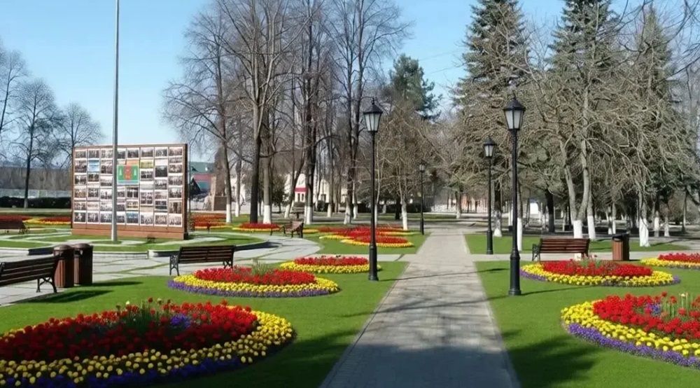 В Брянской области подвели итоги голосования за благоустройство территорий