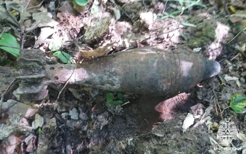 Брянские спасатели избавили Севский район от опасной находки