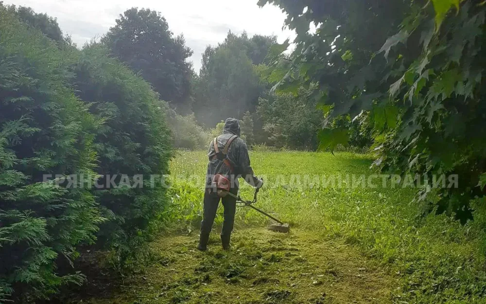 В Брянске за сутки выкосили траву на площади двенадцати футбольных полей