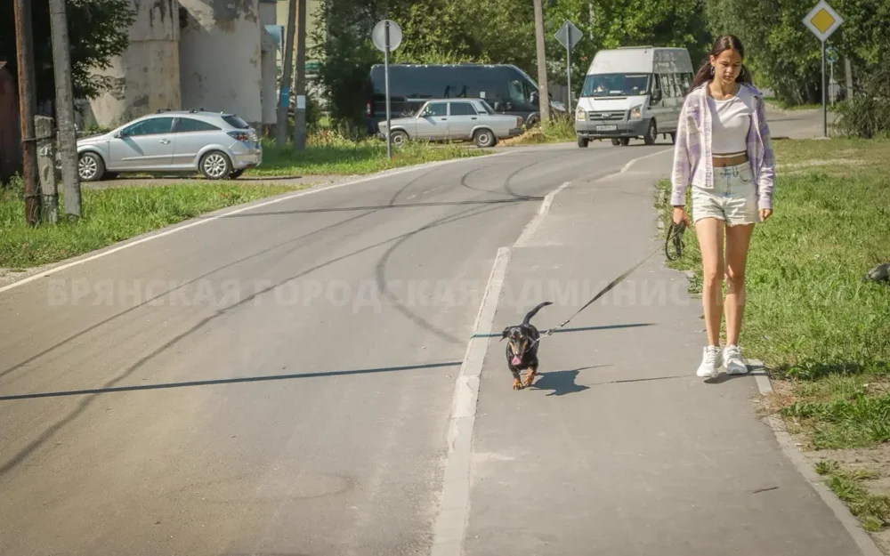 Частный сектор улицы Клары Цеткин в Брянске впервые получил асфальт